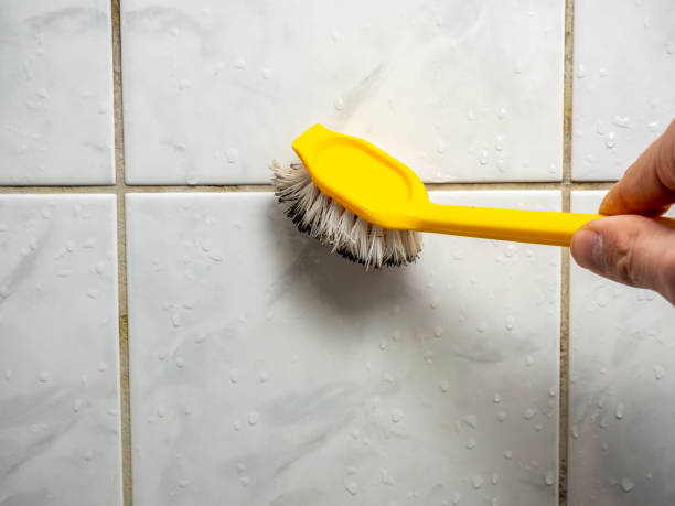Best Home Mold Removal  in Doral, FL