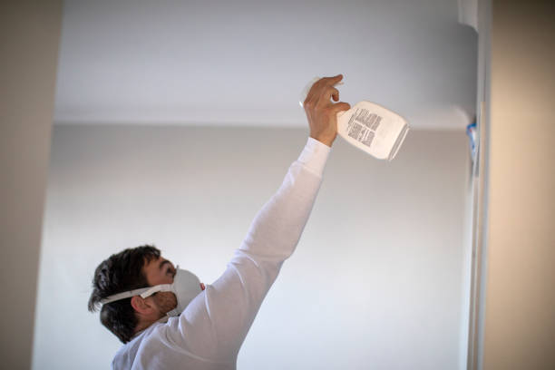Best Emergency Mold Removal  in Doral, FL