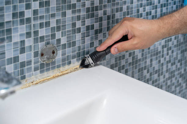 Doral, FL Mold Removal Company